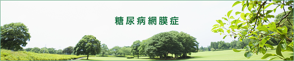 糖尿病網膜症とは