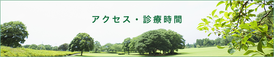 診療時間・アクセス
