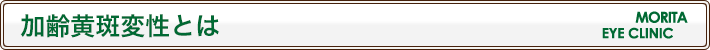 加齢黄斑変性とは