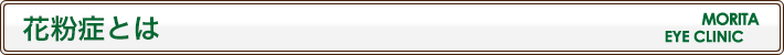 花粉症とは